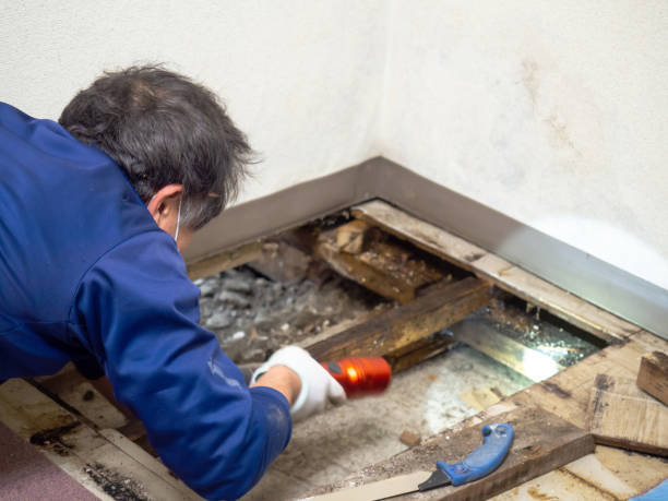 Best Water Damage Restoration  in Pine Mountain, GA